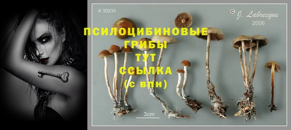 не бодяженный Магас