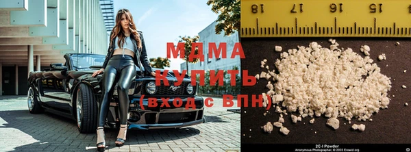 гашик Алексин