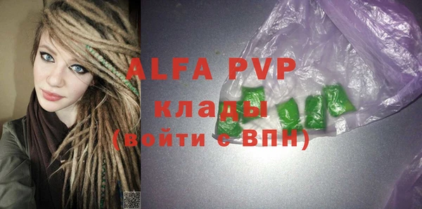гашик Алексин