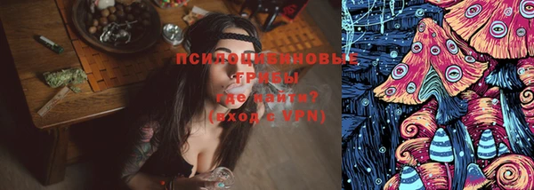 a pvp Магадан