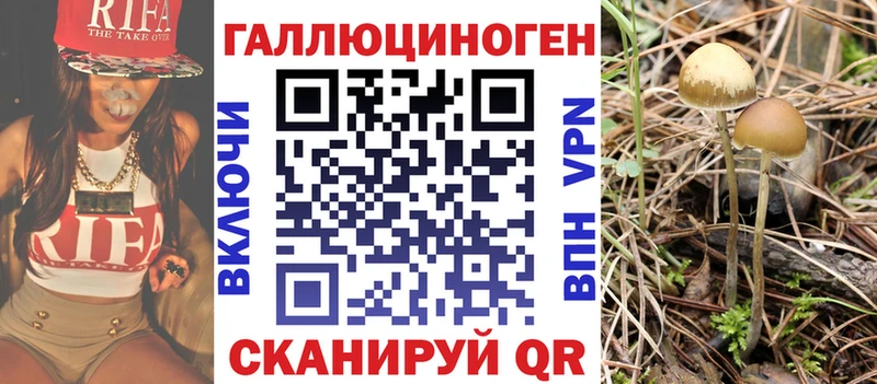 Псилоцибиновые грибы ЛСД  наркошоп  Геленджик 