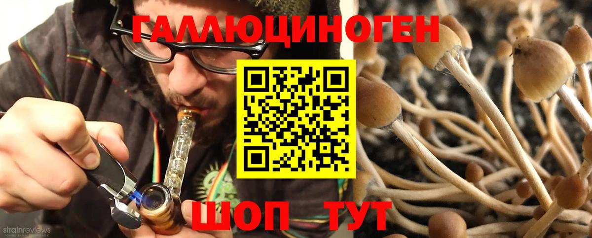 Псилоцибиновые грибы мицелий  Галлюциногенные грибы Magic Shrooms  Вход с VPN  Геленджик 